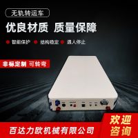 高雄電動平車生產(chǎn)供應商—百達力歐公司制造